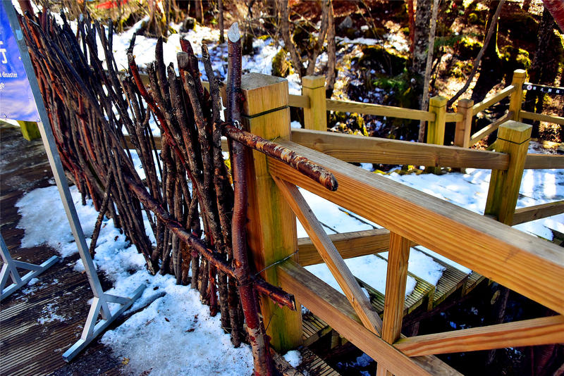 置身于童话中的九寨沟,畅游人间仙境黄龙九寨沟七日游