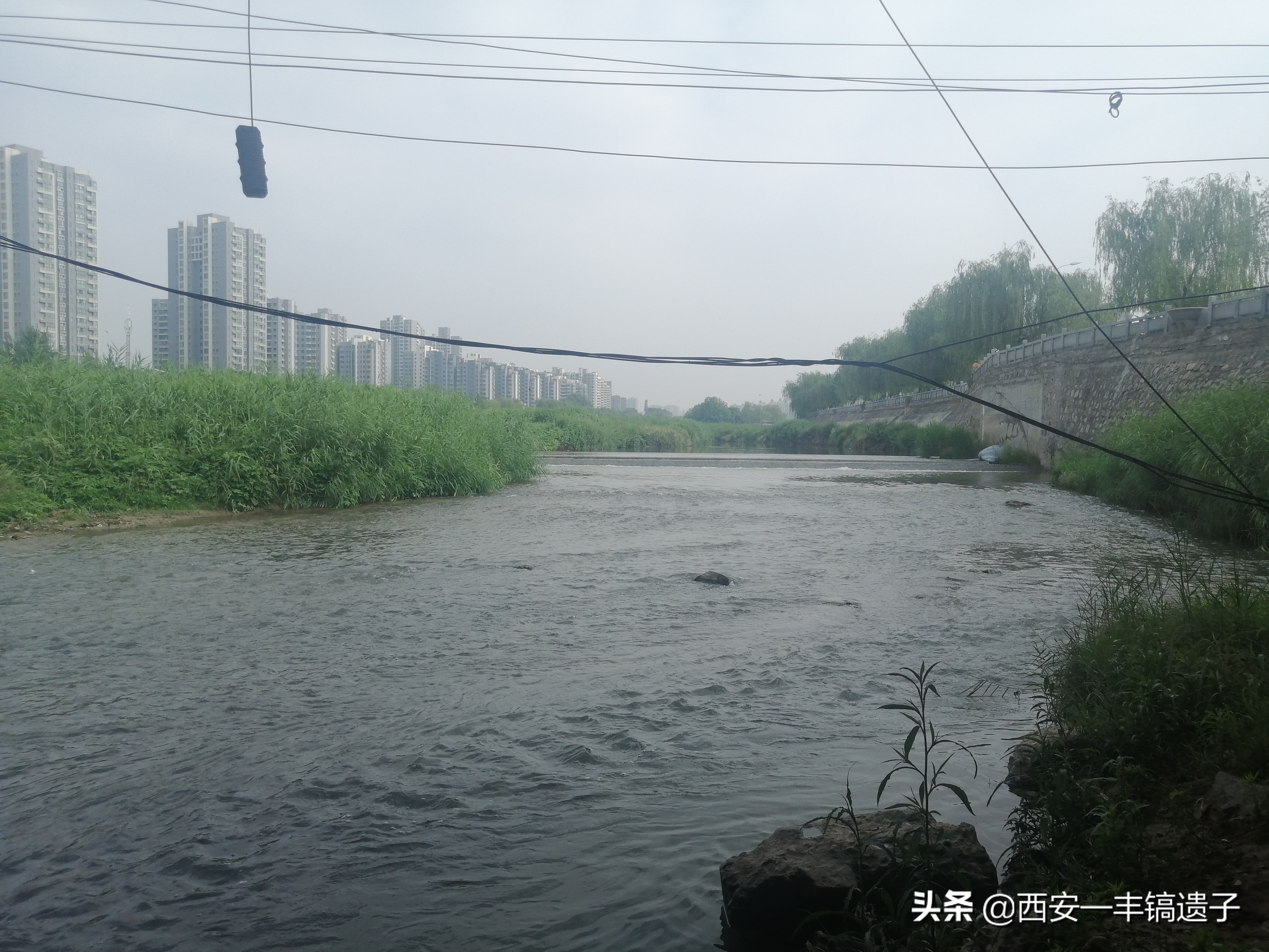 灞浐风烟函谷路解析,灞浐风烟函谷路什么意思