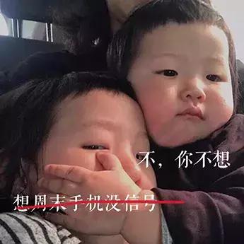 2019年我想对您说,2019我想对你说300字