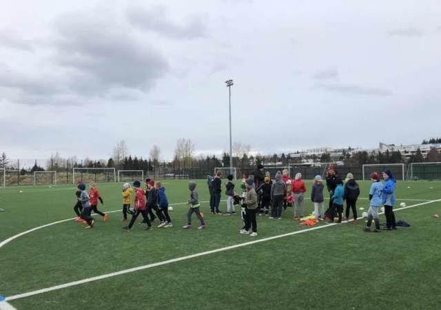 冰岛教练是谁,冰岛球队队长是牙医