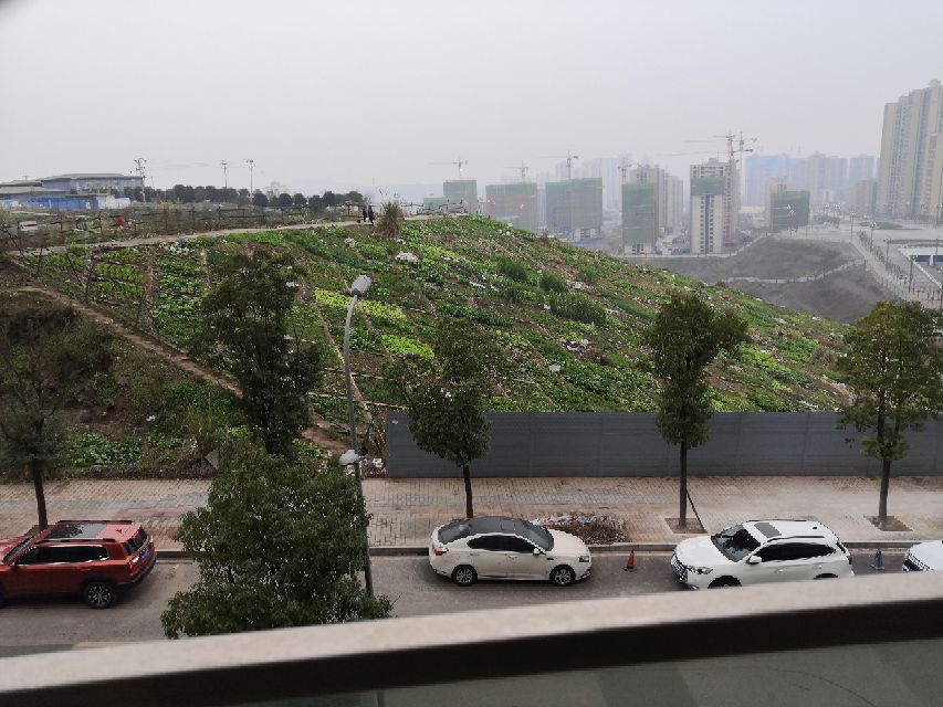 不知不觉中从夏天跑到了冬天,不知不觉跑到了冬天