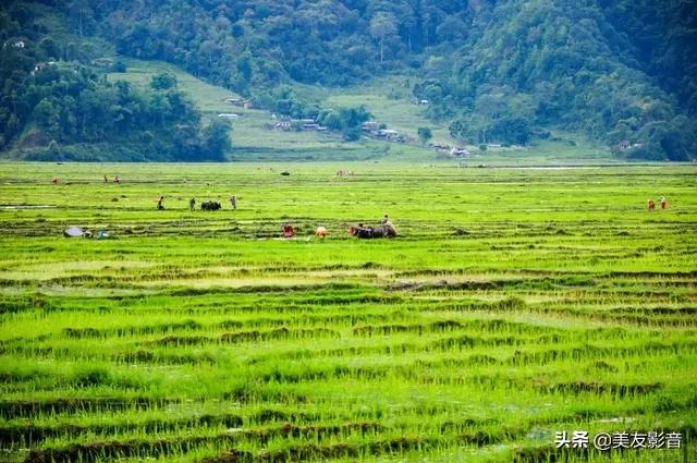 春分时节最具代表性的诗词,十首春分诗词带你览尽美好春光