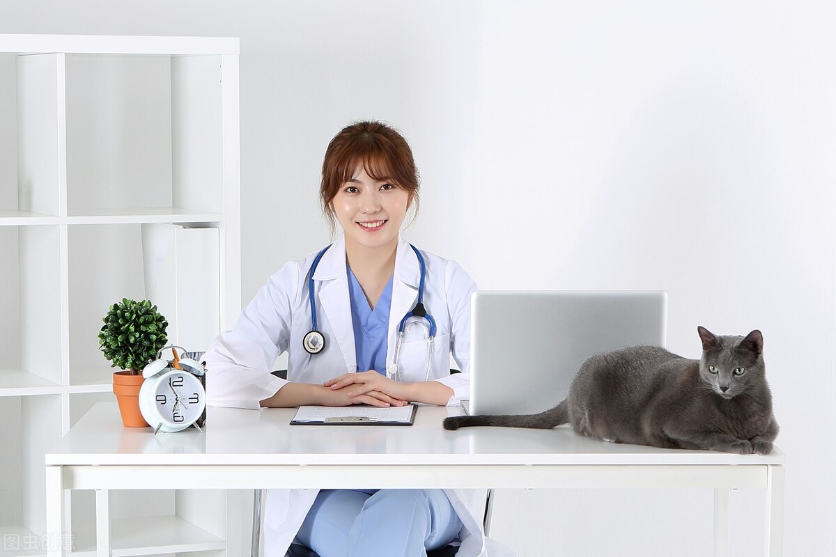 小狗冠状病毒还拉肚子呕吐,宠物出现呕吐