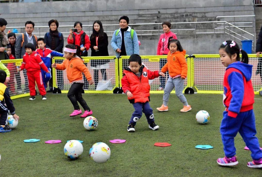 派迪茵体育,派迪茵体育教练团队