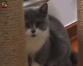 世上居然有如此之*魂药迷**？拍一下就让男子自愿送上一万多元？！