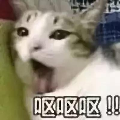 閰掍簳娉曞瓙蹇冧腑鍏呮弧浜嗕綘,閰掍簳娉曞瓙鐙櫧