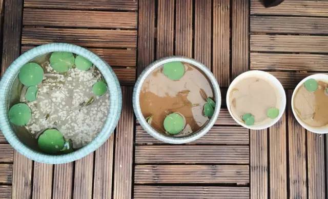 梦想改造家小户型,农村庭院改造效果图大全