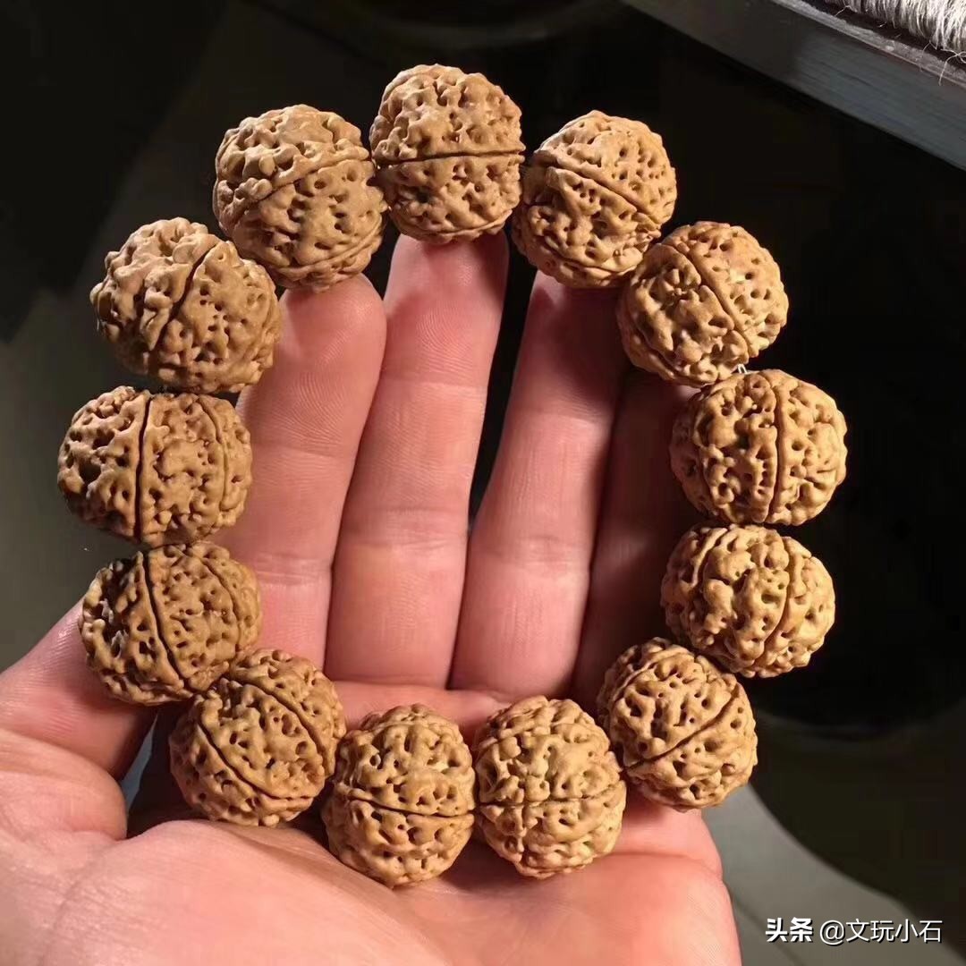 金刚菩提入门知识，新手必备，掌握了三言两语就能让别人刮目！