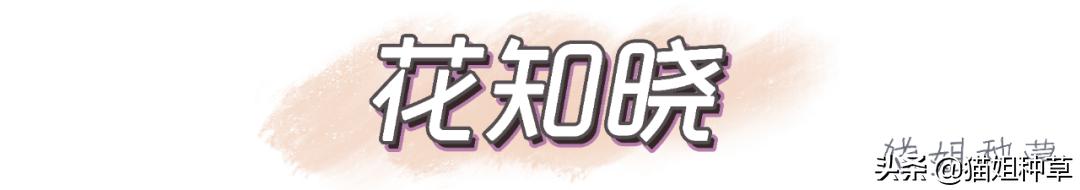 泫雅ysl金盖哑光唇釉色号,泫雅ysl银条试色