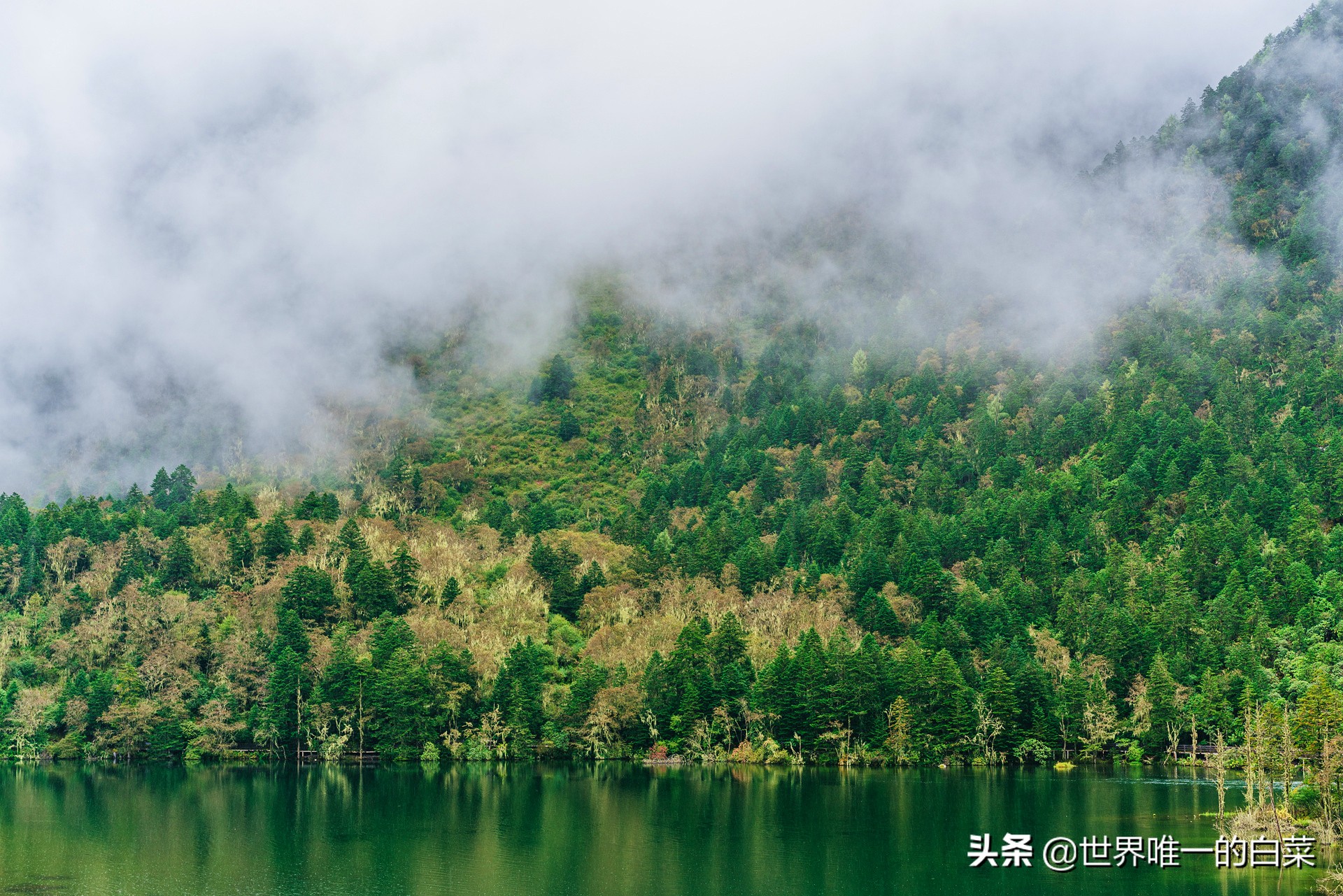 康定情歌川西旅游,318川西康定木格措