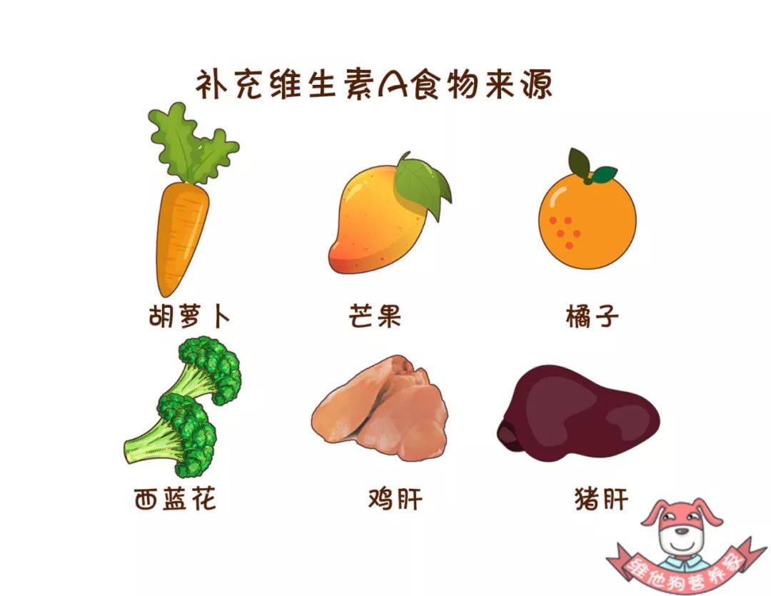 熬夜三班倒怎么补救,熬夜熬多了怎么调整正常作息