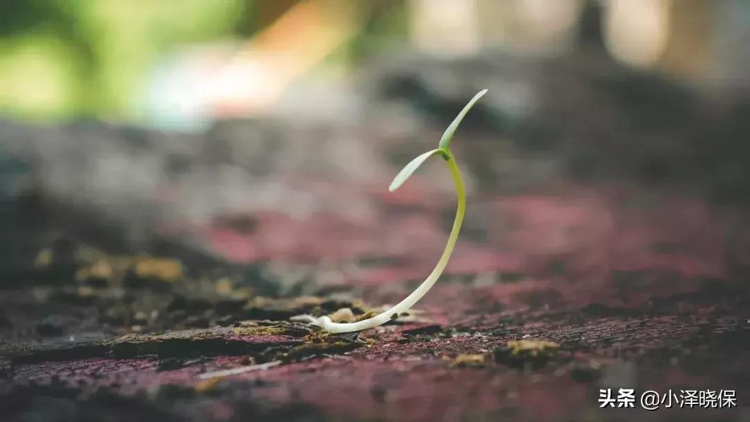 入职选择保险经纪机构,为什么选择保险经纪