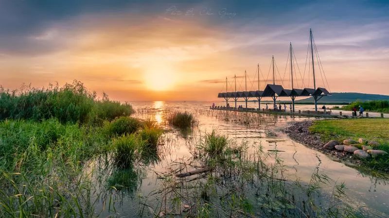河蚌先生,河蚌先生啥意思