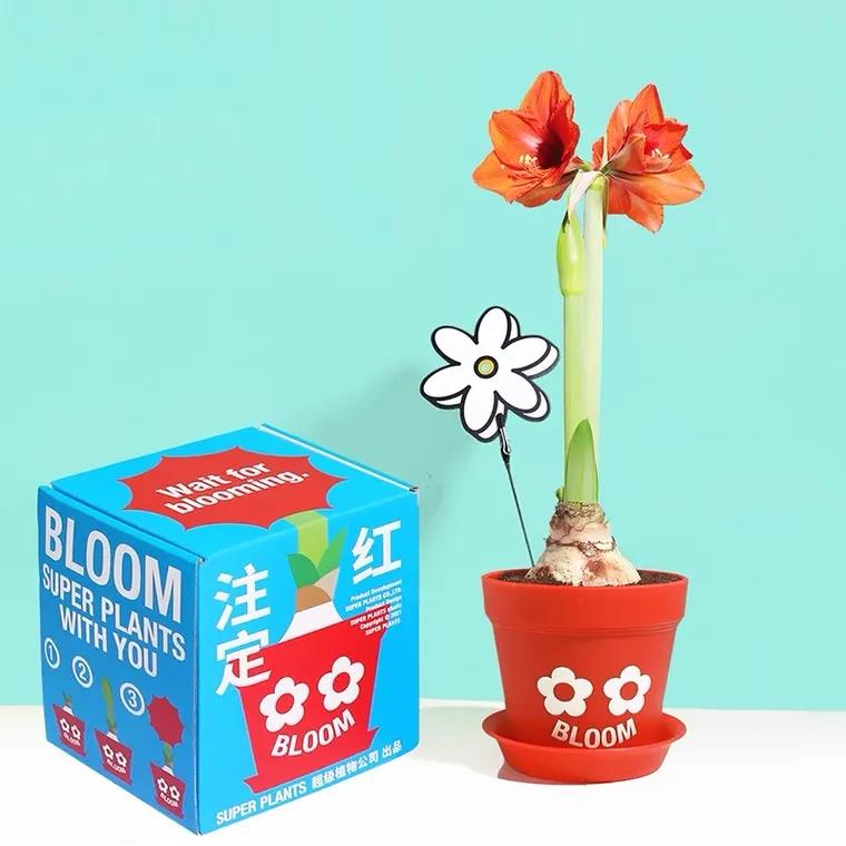 七夕礼物好看而不贵,七夕性价比比较高的礼物