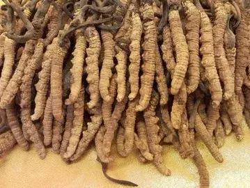 康芝仁中医馆资兴,康芝仁中医馆电话