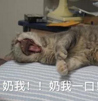 诛仙天音和天华哪个厉害,诛仙青云志和天音谁厉害