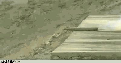 鎵撲粭鐨勬椂鍊欏悗鍕ら槦骞插槢鐢ㄧ殑,鎴樹簤鎵撶殑灏辨槸鍚庡嫟