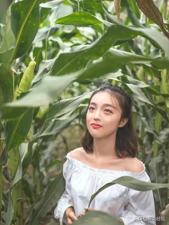 为了回报湖北人，这个身价8万的*疆新**特产给出亲情价，手慢无！