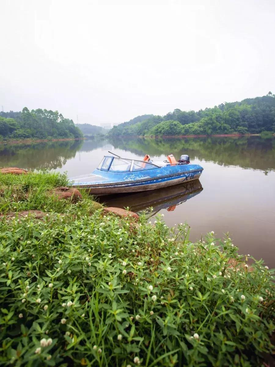 双流竟藏着如此绝美的“秘密公园”，约吗？