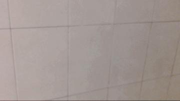 “即使用一朵花轻轻打都不可以”