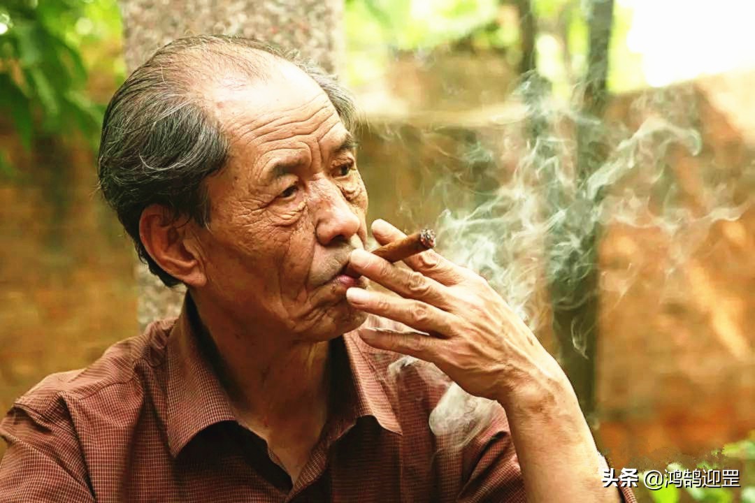 《白鹿原》里郭举人吃泡枣，《废都》庄之蝶吃泡梅李，写这些何用