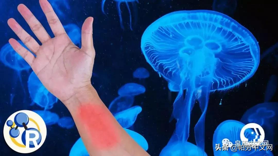 甯曞姵姘存瘝婀栫殑姘存瘝鍙互鎽稿悧,甯曞姵姘存瘝杩樿兘鎶撳悧