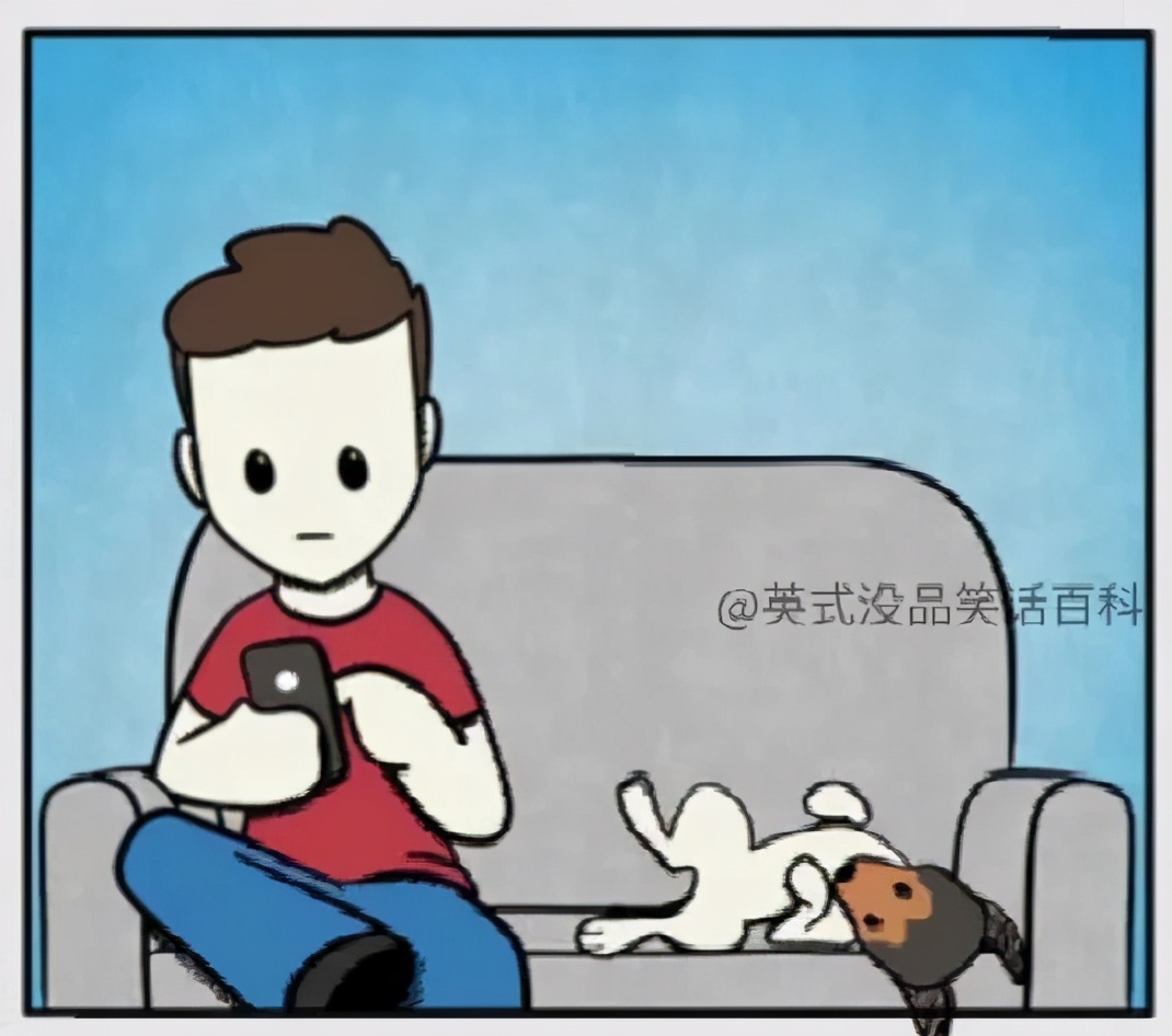 猫和铲屎官漫画全集,铲屎官和狗子的漫画