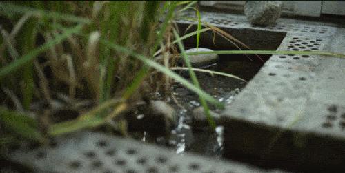 耗费十余年打造透明“自然屋”,瑞典爸爸终与自闭症儿子和解