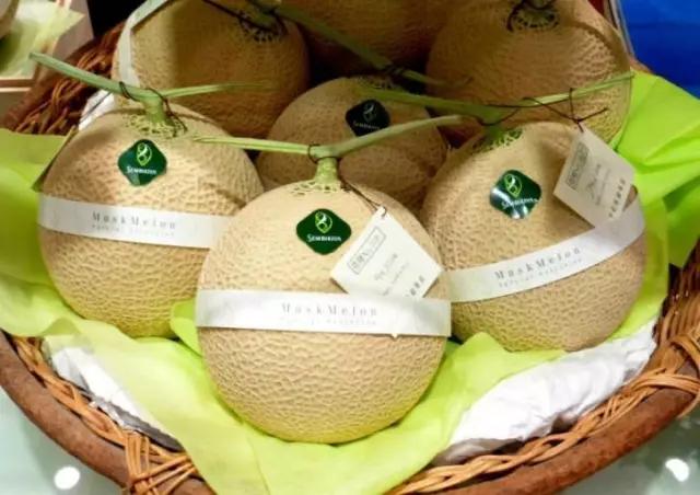 日本人就从来不抱怨苹果太贵，收藏几个异国瓜果能让你变成有钱人