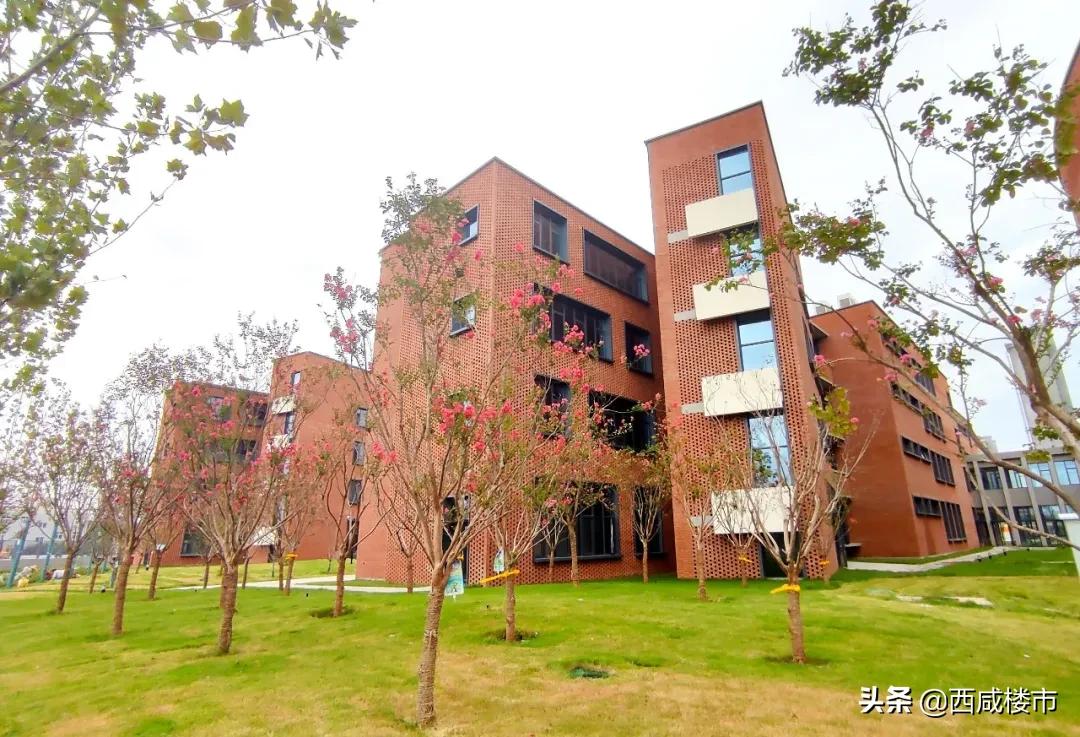 新增的231个学位是什么,5年内新增438万公办学位