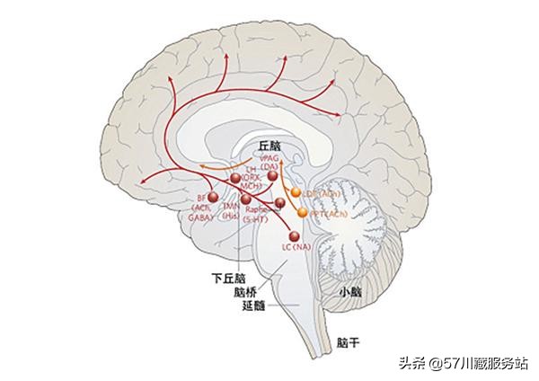 户外露营如何避免失温,户外露营问题解决方法