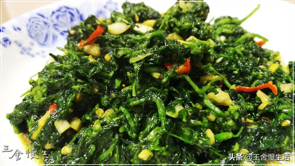 一年四季都可以吃的豌豆尖,野生豌豆尖正确采摘