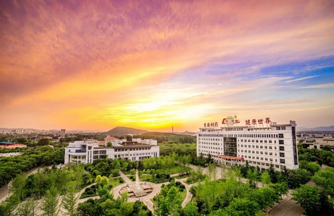 为什么费县房价这么贵,费县房价2017年走向