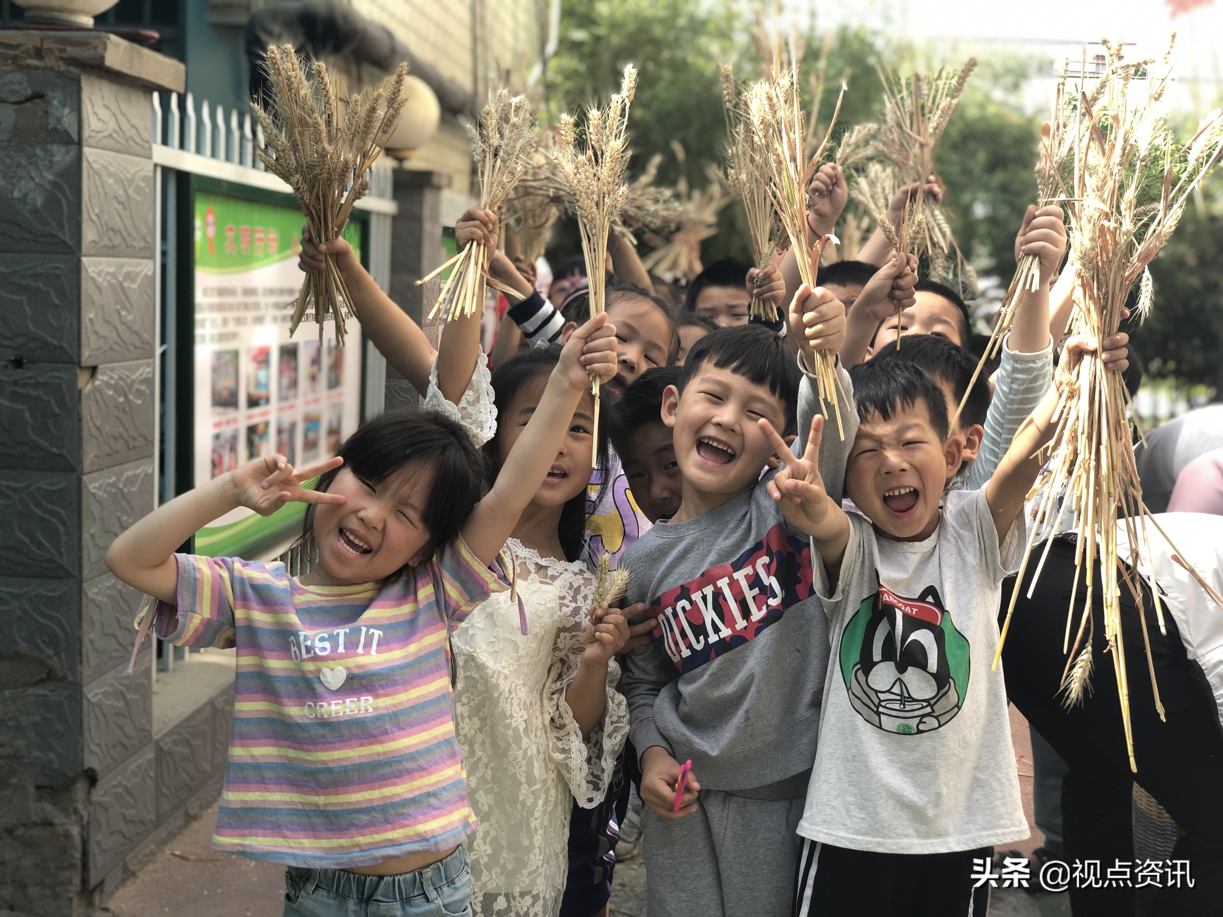 探析郑州市惠济区花园口幼儿园“育根教育”特色文化发展之路