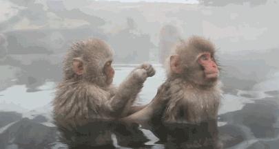 日本冬天滑雪去哪里,日本东北深山隐藏的秘密