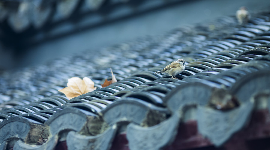 易经讲不顺的时候怎么办,易经中感觉不顺是什么原因