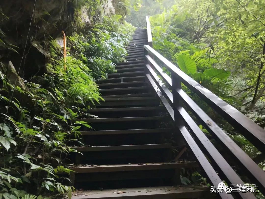 台湾印象户外,台湾印象主题馆