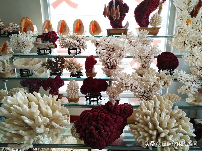 日照赶海之旅,日照冬季赶海旅游去哪里最好