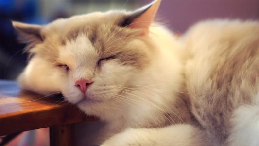 高原反应终极攻略西藏旅行必备,旅行中出现高原反应怎么样缓解