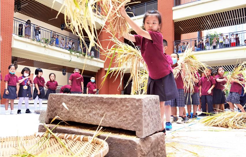 两江新区童心小学教育集团,重庆两江新区青禾童心小学校