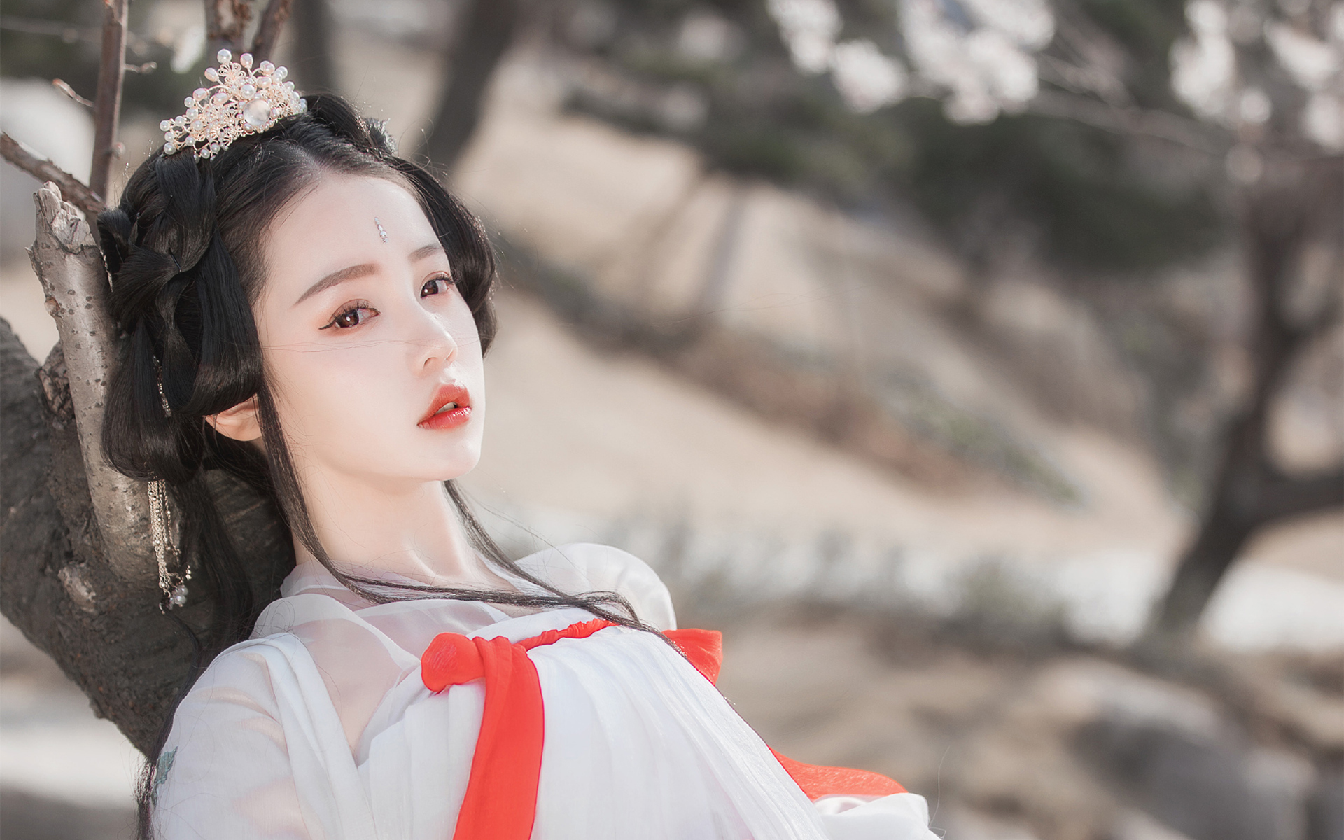 美人泪相思劫,美人画卷