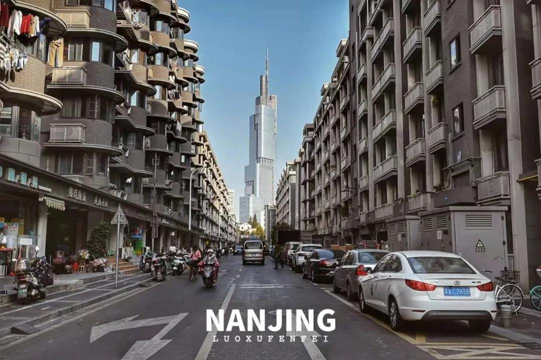 玩完南京去哪里玩景点推荐,南京钟山风景区秋天一日游攻略