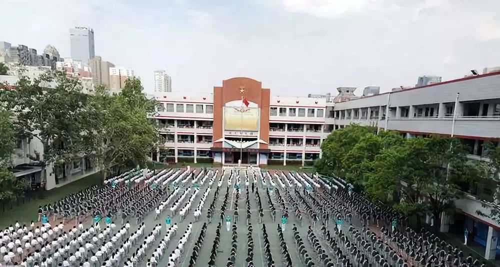 郑州金水区最差的十所小学,金水区所有小学排行榜