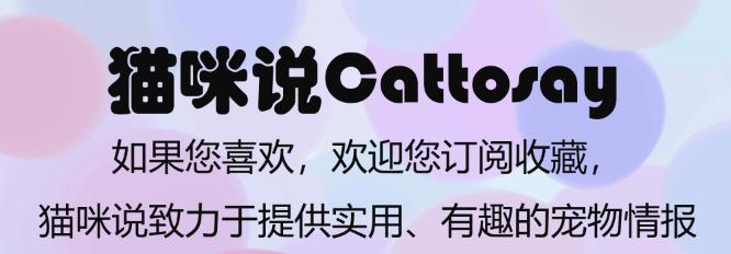 猫捉老鼠需要学习吗,猫捉老鼠需要母猫教吗