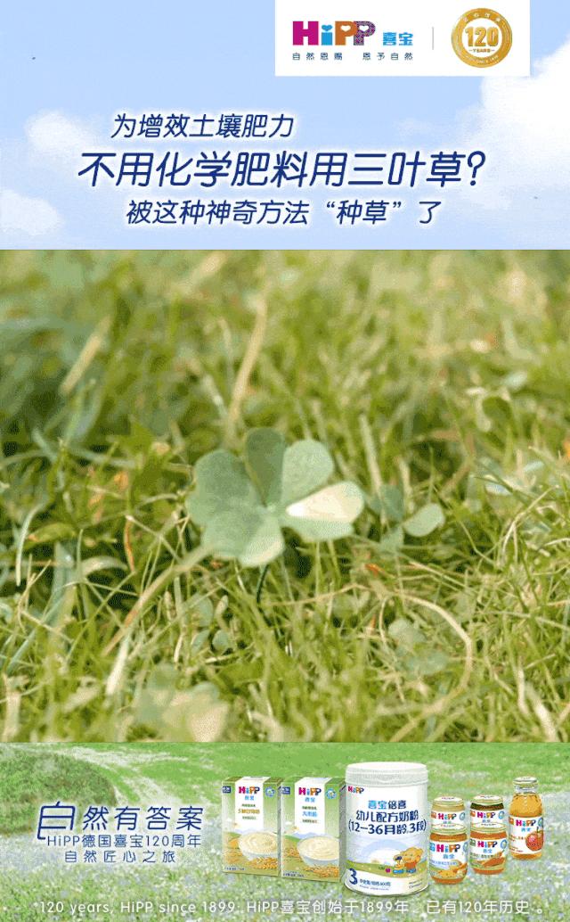 初喂辅食应该注意什么,第一次辅食和喝奶怎么安排