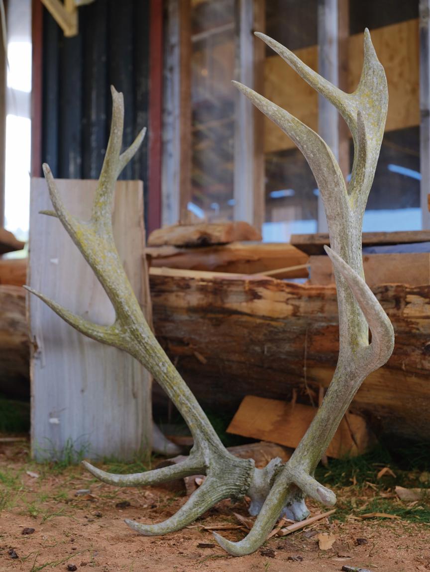 旅居生活攻略,旅居生活最适合的城市