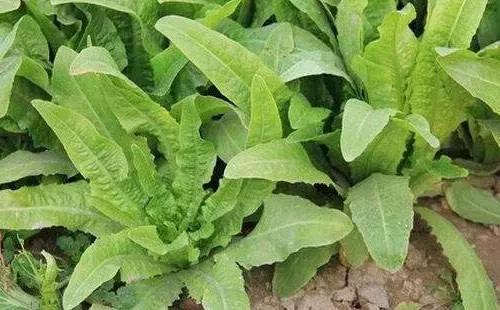 如何应对回南天,户外应对雷暴天气的最佳方法