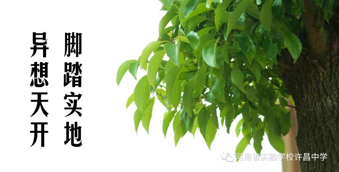 许昌市实验中学招生电话,许昌魏都区实验中学招生公告