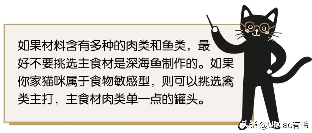 零食罐和主食罐吃哪个,主食罐零食罐