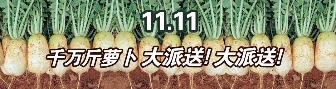 南阳红都时代广场,南阳红都时代广场全天直播